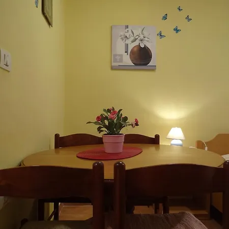 Apartment Apartments Piran Piran