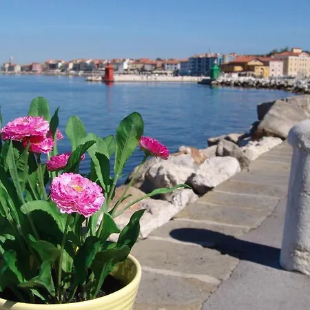 Apartments Piran * Piran