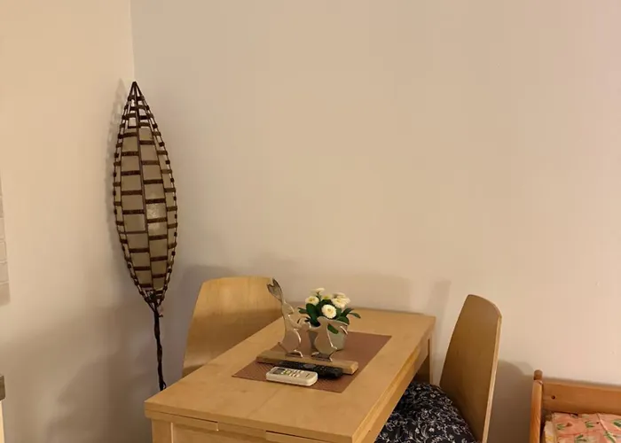 아파트먼트 아파트 피란